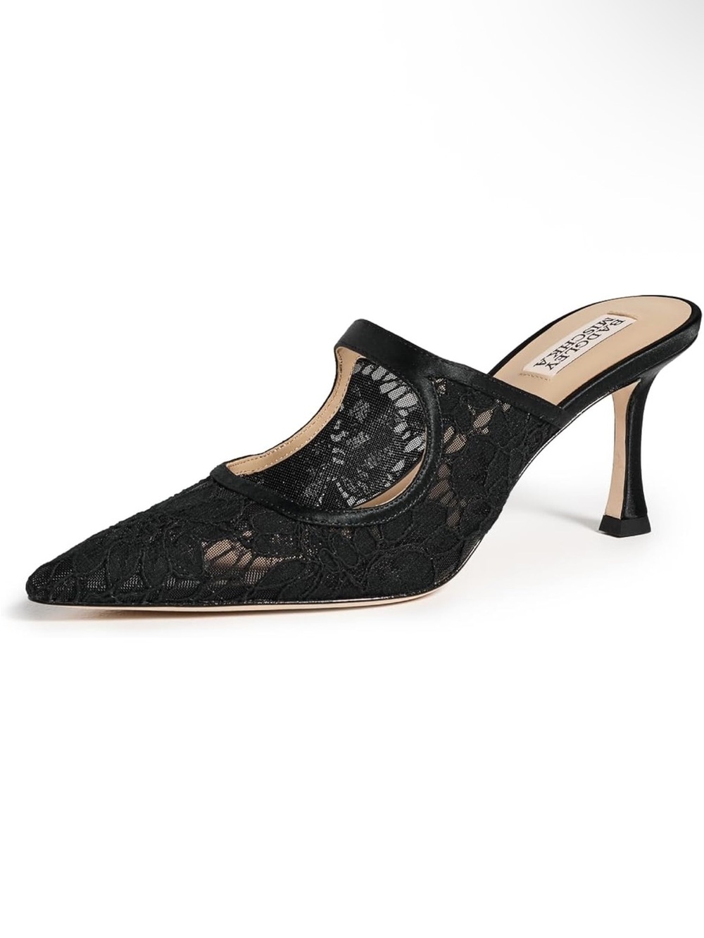 Badgley Mischka Black Lace Pointed-Toe Mule Heel - Women's Shoes
